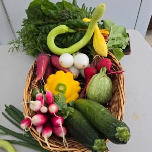 Small Veggie Bundle