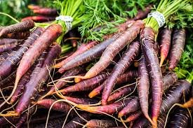 Red Carrots -bunch